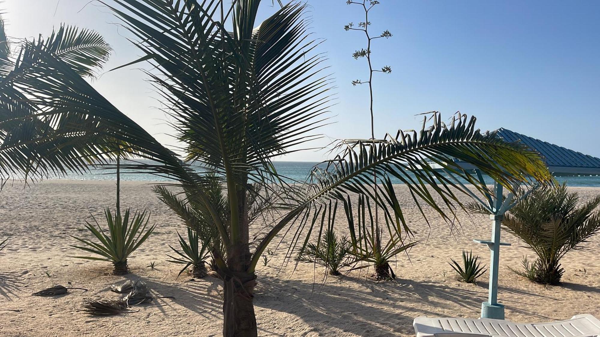 Luxury Beach Villa, Praia De Chaves, Boa Vista Sal Rei Zewnętrze zdjęcie